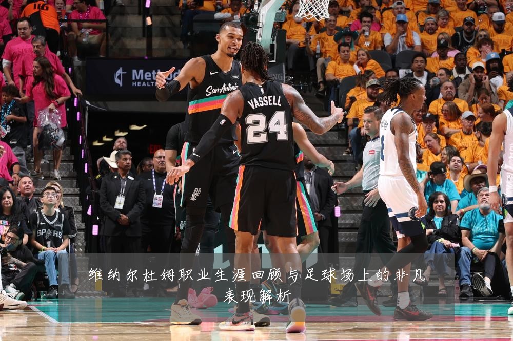 维纳尔杜姆职业生涯回顾与足球场上的非凡表现解析